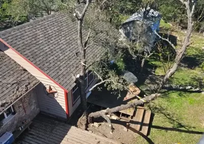 Experienced Tree Company