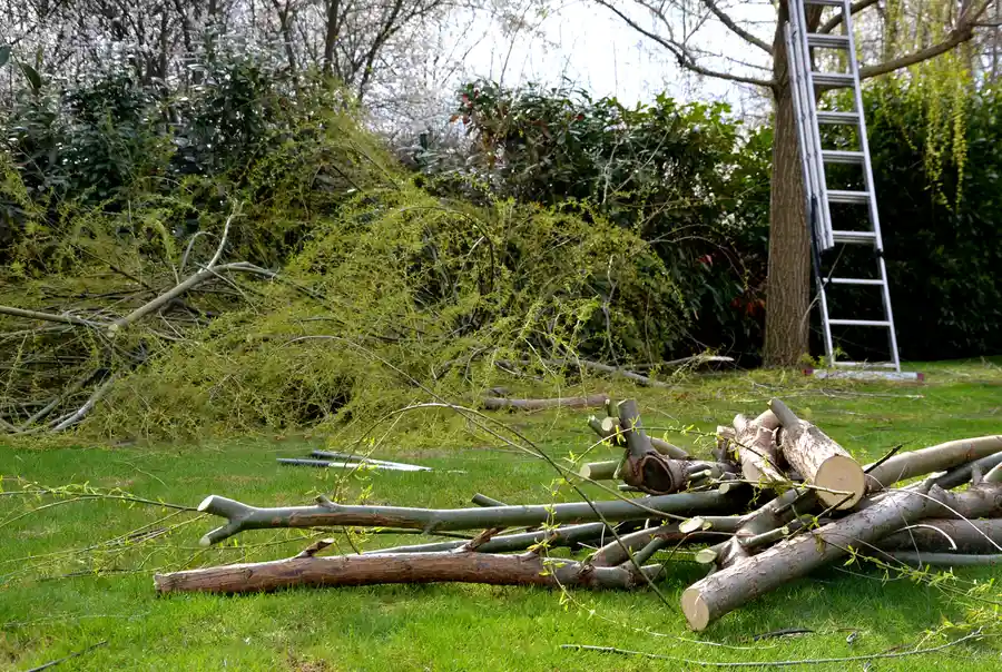 How Land Clearing Helps Prevent Future Property Hazards in Kerrville, TX How Land Clearing Helps Prevent Future Property Hazards in Kerrville, TX