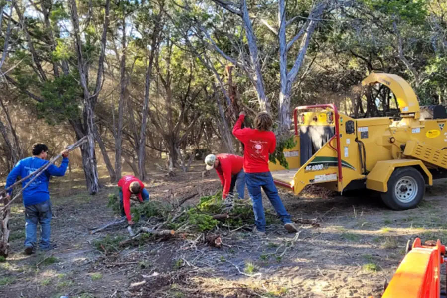 Professional Tree Company in Kerrville, TX