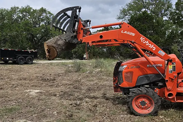 Professional Tree Service