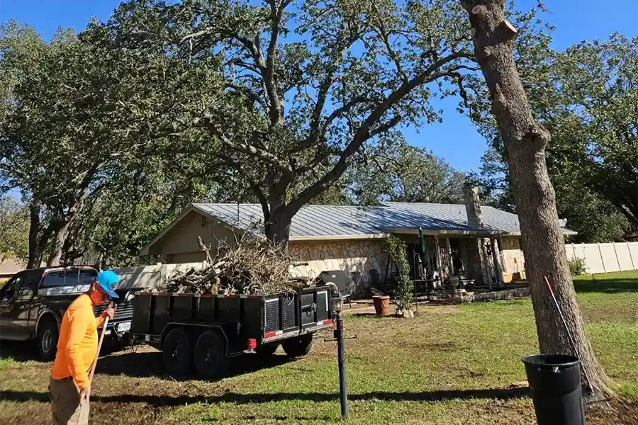 Professional Tree Service