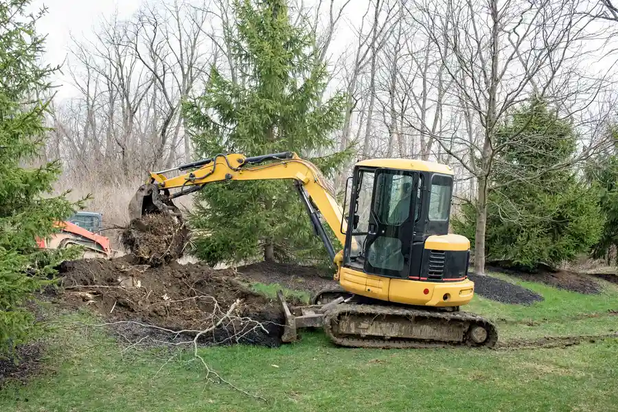 Reliable Stump Removal Kerrville, TX Reliable Stump Removal Kerrville, TX