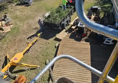 Skilled Tree Specialist