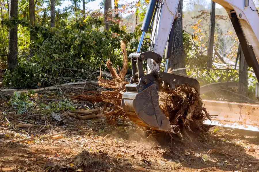 Superior Stump Removal Kerrville, TX Superior Stump Removal Kerrville, TX