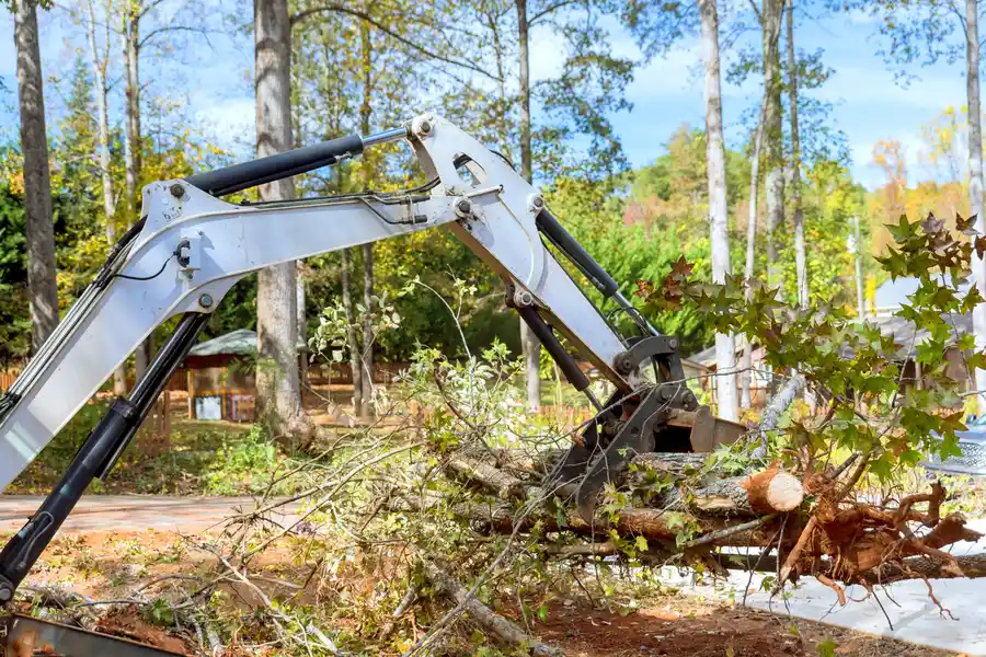 Top-rated Land Clearing Kerrville, TX Top-rated Land Clearing Kerrville, TX